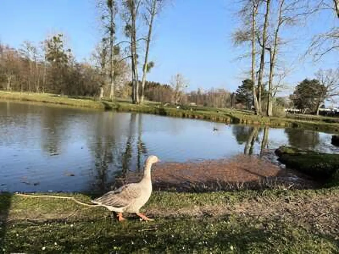 Campsite Domaine de la Verte Vallée3 Csillagok★★★
