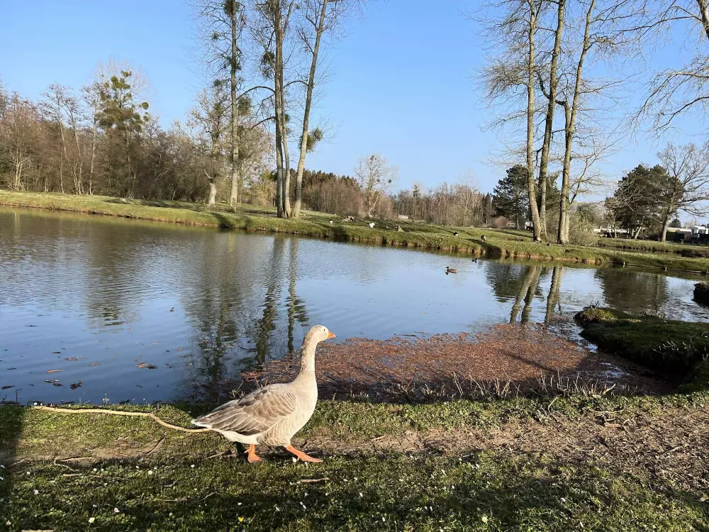 Domaine Verte Vallée 3 Sterne★★★
