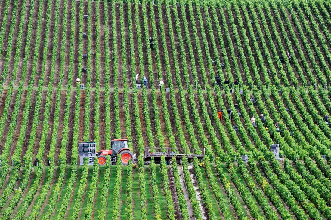 Gîte de France Der Zaun mehrau 3 Ohren