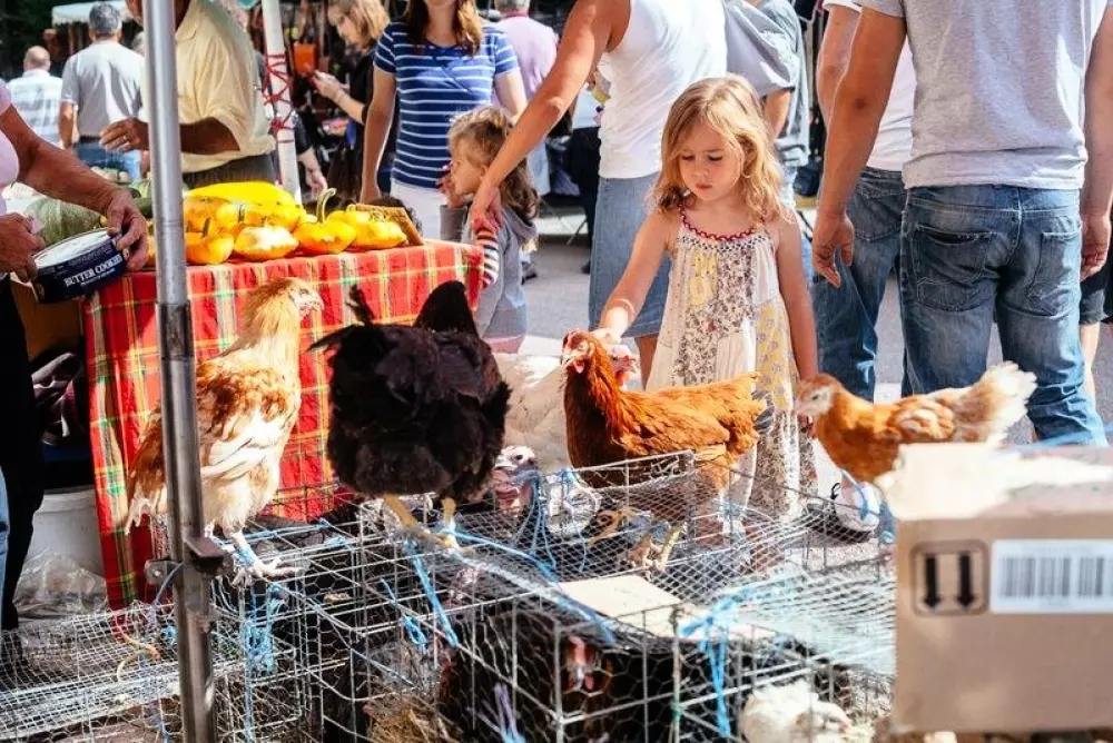 Domaine de Corneuil 3 Sterne★★★