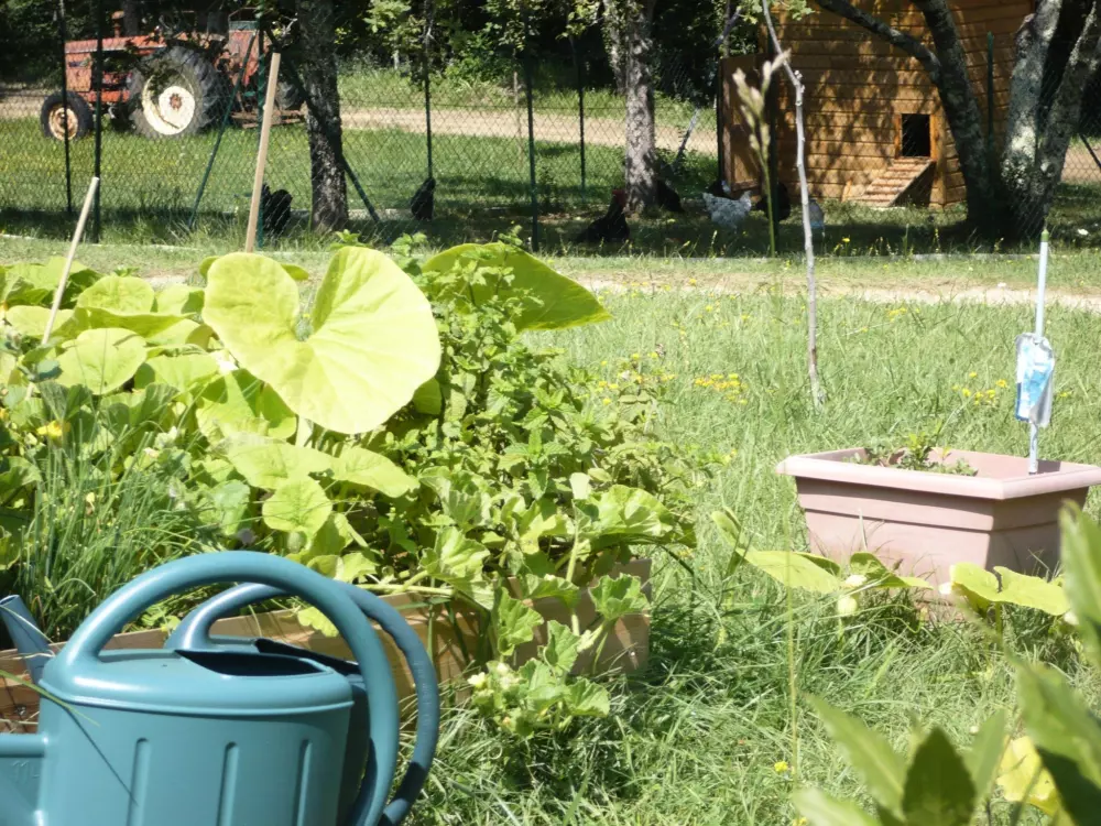 Domaine de Corneuil 3 Sterne★★★