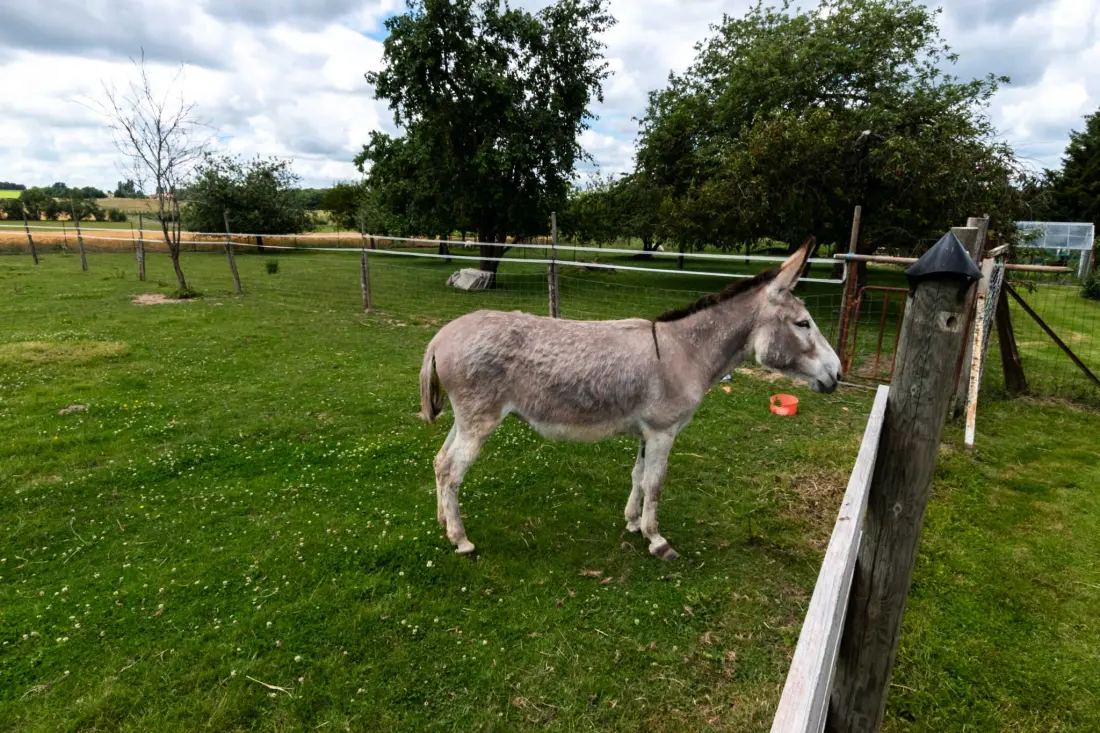Gîte de France Terre de brie 7 pers 3 Ohren