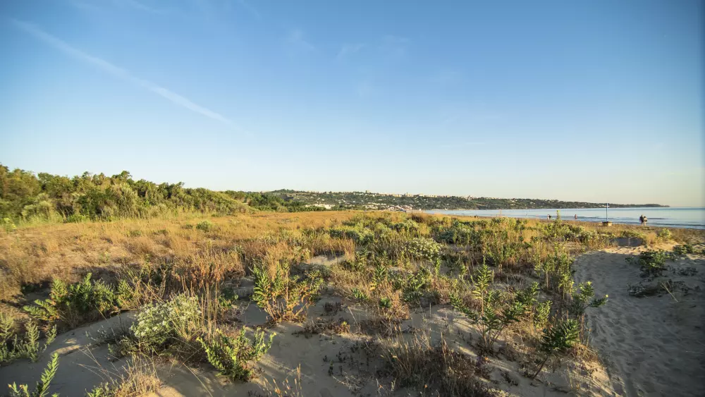 Il Pioppeto Camping & Residence