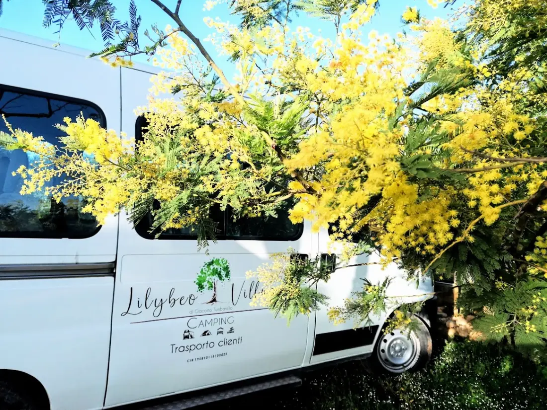 I nærheden af LILYBEO VILLAGE Camping & Residence Tæt på