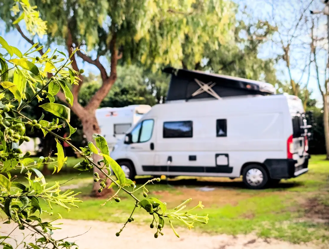 I nærheden af LILYBEO VILLAGE Camping & Residence Tæt på