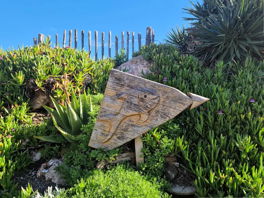 Dunes Residence (res.les)
