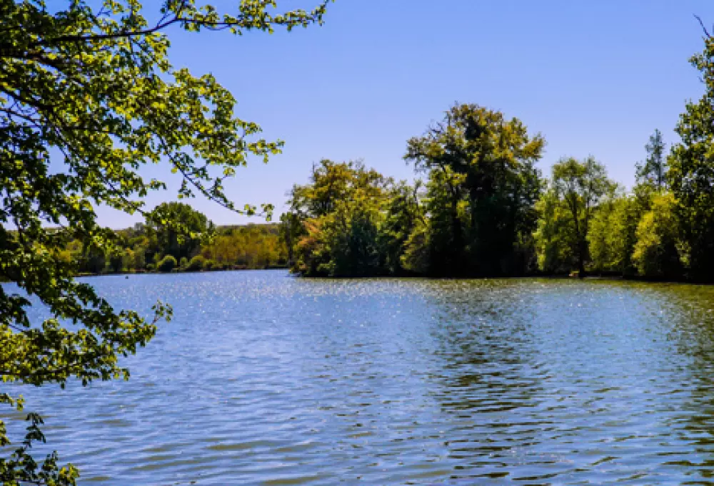 Camping Lac aux Oiseaux4 étoiles★★★★