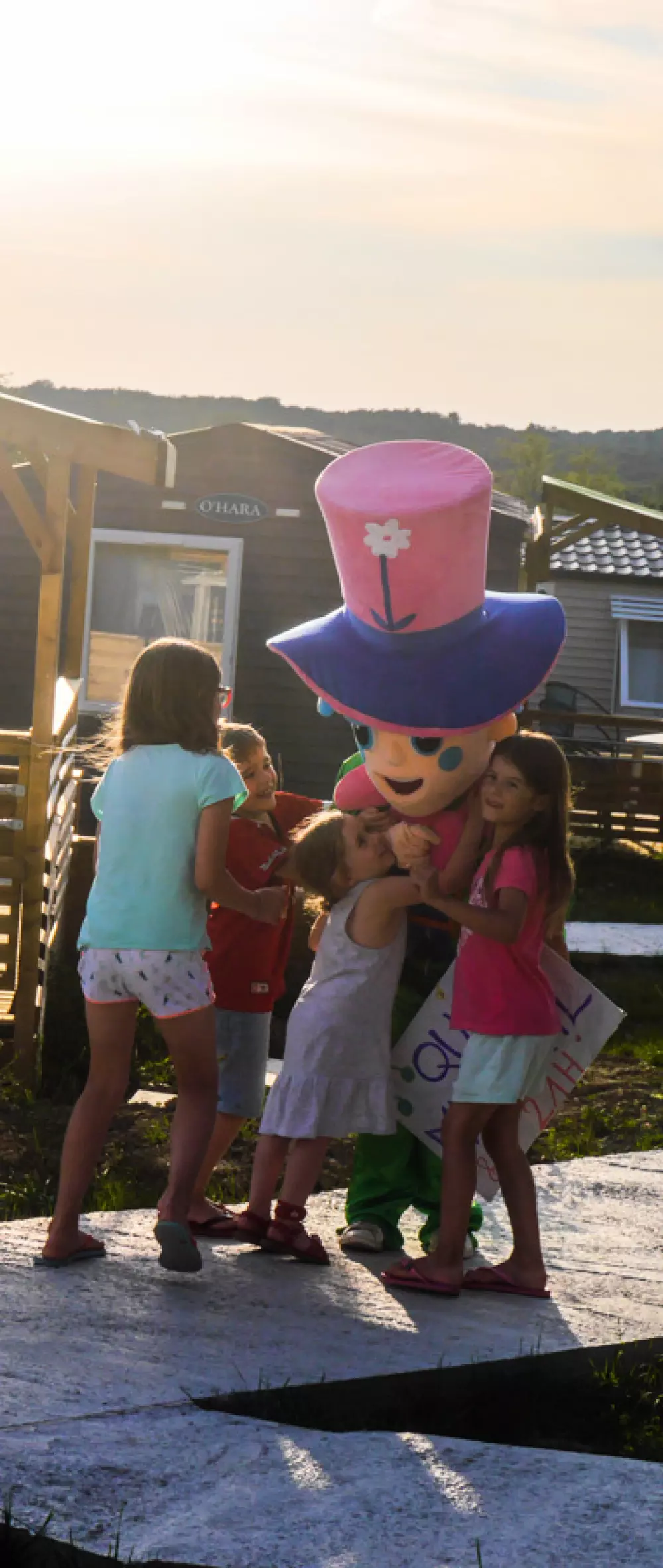 Camping Lac aux Oiseaux4 étoiles★★★★