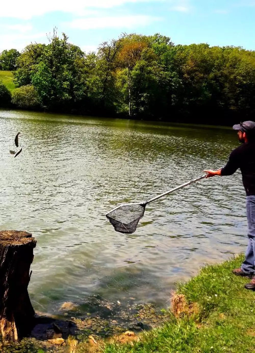 Camping Lac aux Oiseaux4 étoiles★★★★