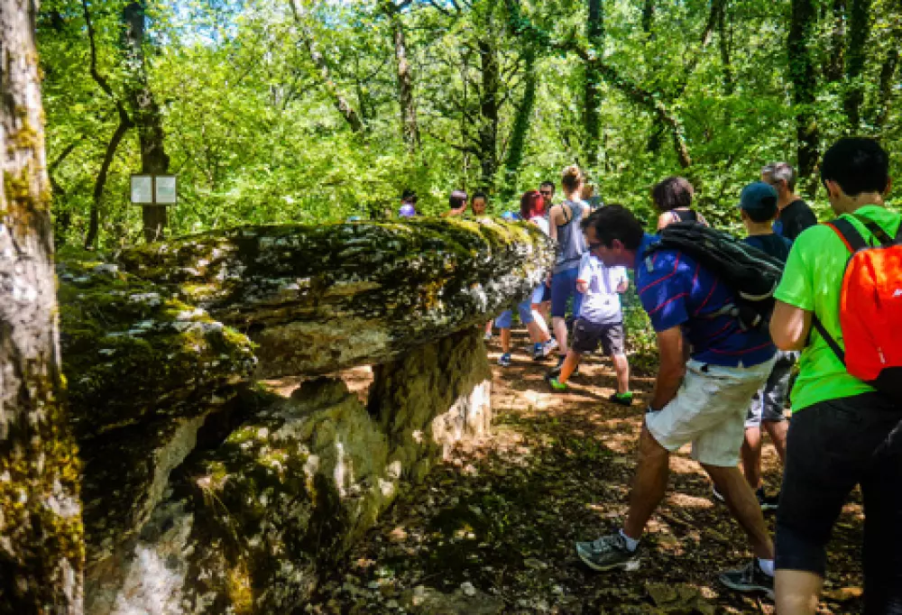 Camping Lac aux Oiseaux4 étoiles★★★★