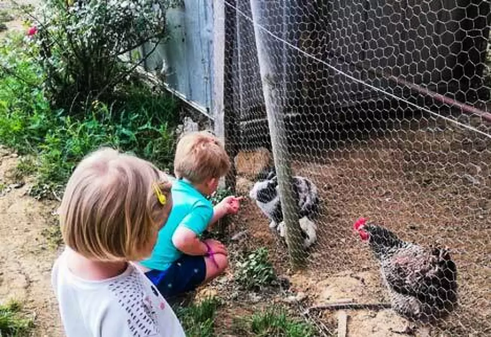 Camping Lac aux Oiseaux4 étoiles★★★★