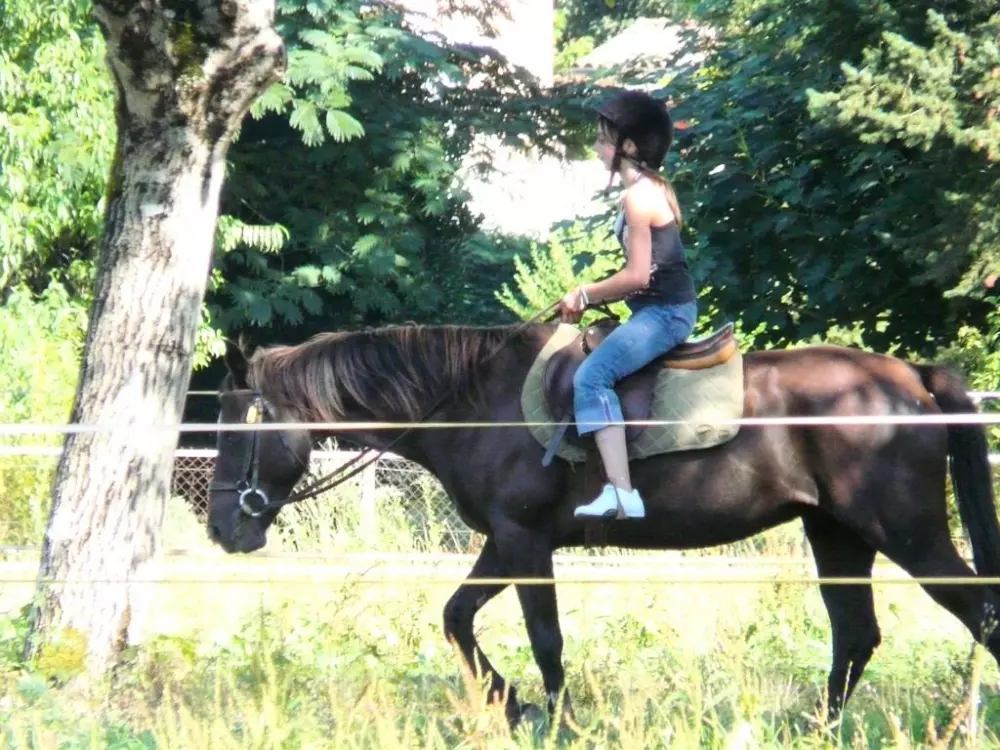 Blumen Camping Le Lac aux Birds 3 Sterne★★★