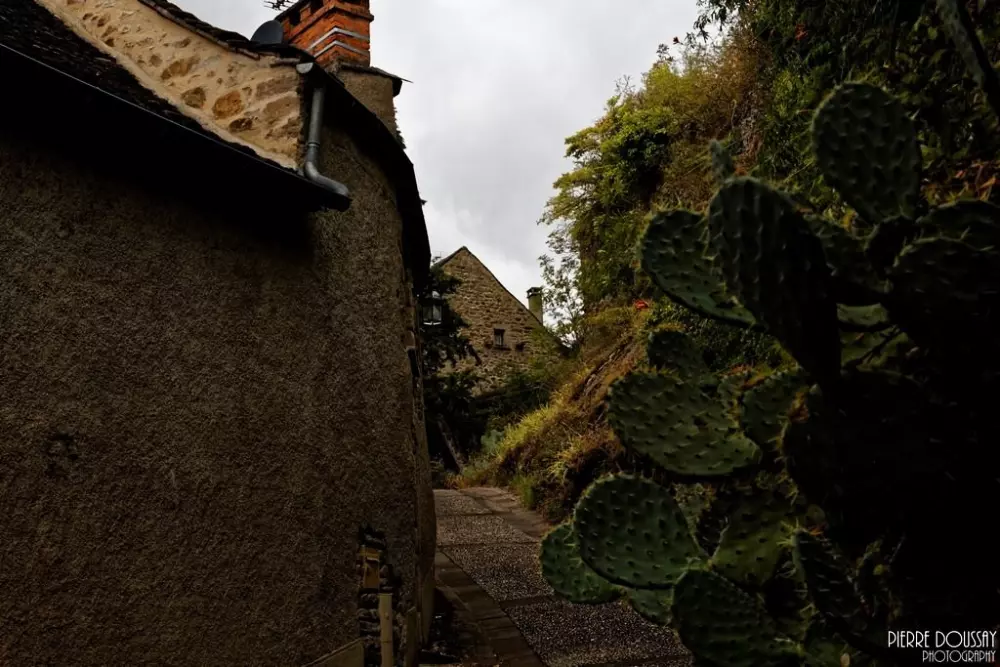 Blumen Camping Le Lac aux Birds 3 Sterne★★★