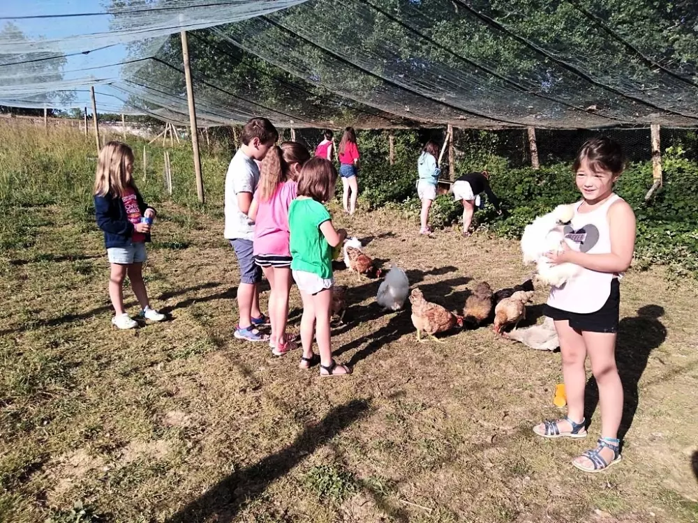 Blumen Camping Le Lac aux Birds 3 Sterne★★★