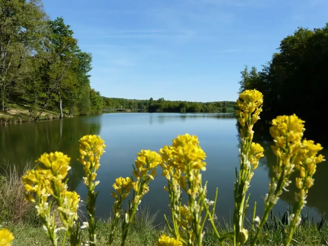 Flower Camping Le Lac aux Birds 4 Stars★★★★
