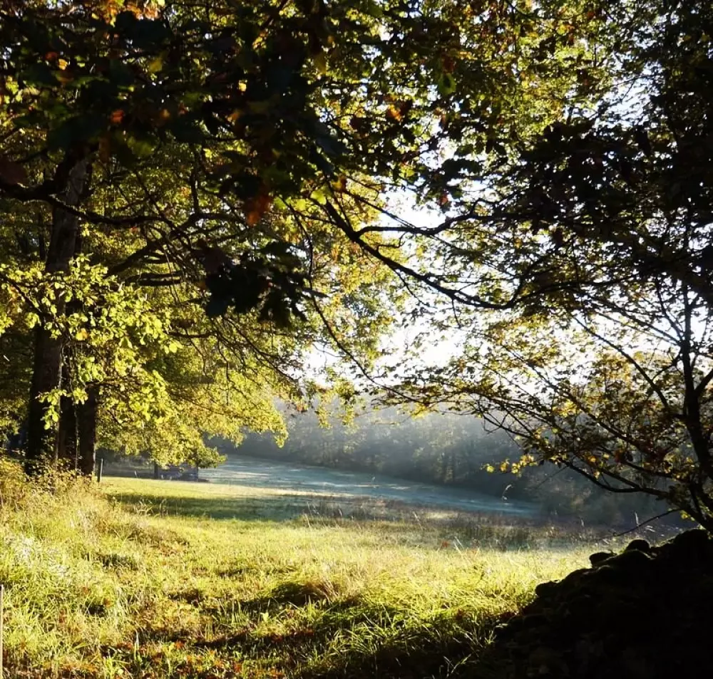 Blumen Camping Le Lac aux Birds 3 Sterne★★★