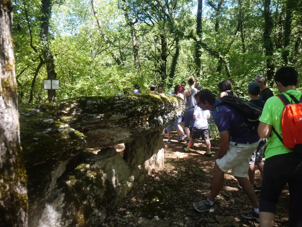 Blumen Camping Le Lac aux Birds 3 Sterne★★★