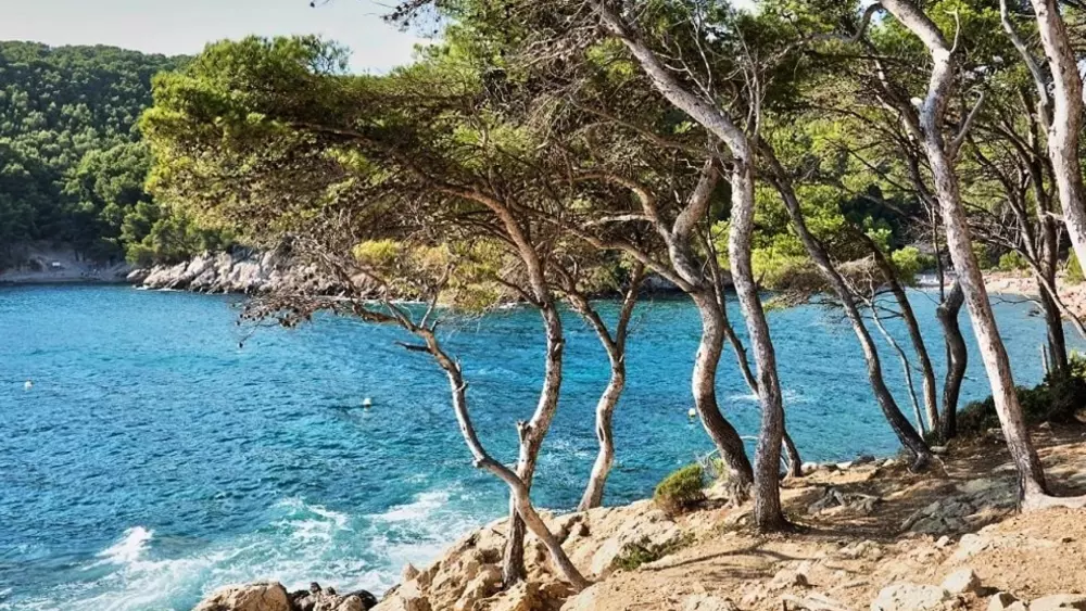 Camping l'Arquet 4 Sterren★★★★