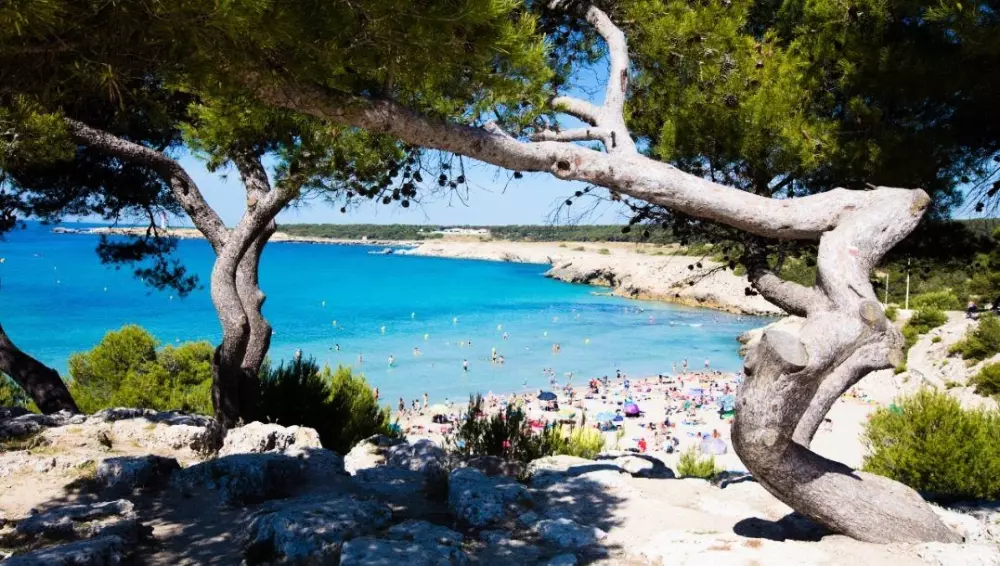 Camping Pascalounet3 Sterren★★★