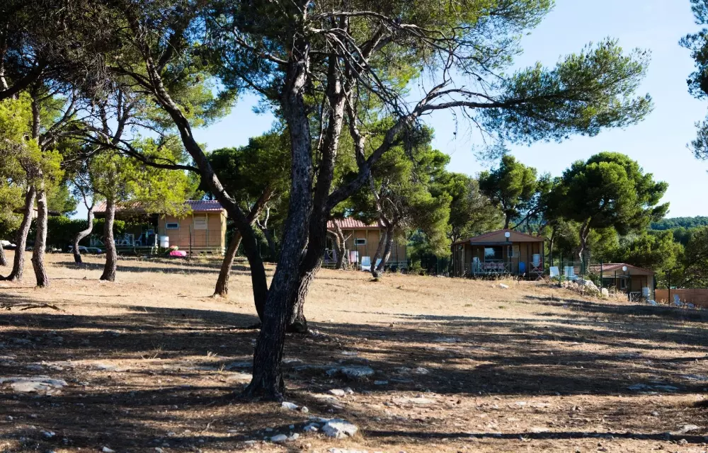 Camping Pascalounet3 Sterren★★★