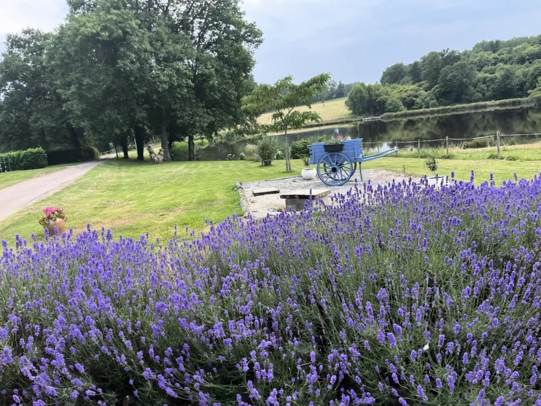 Gîte de France De kleine lijn 2 oren