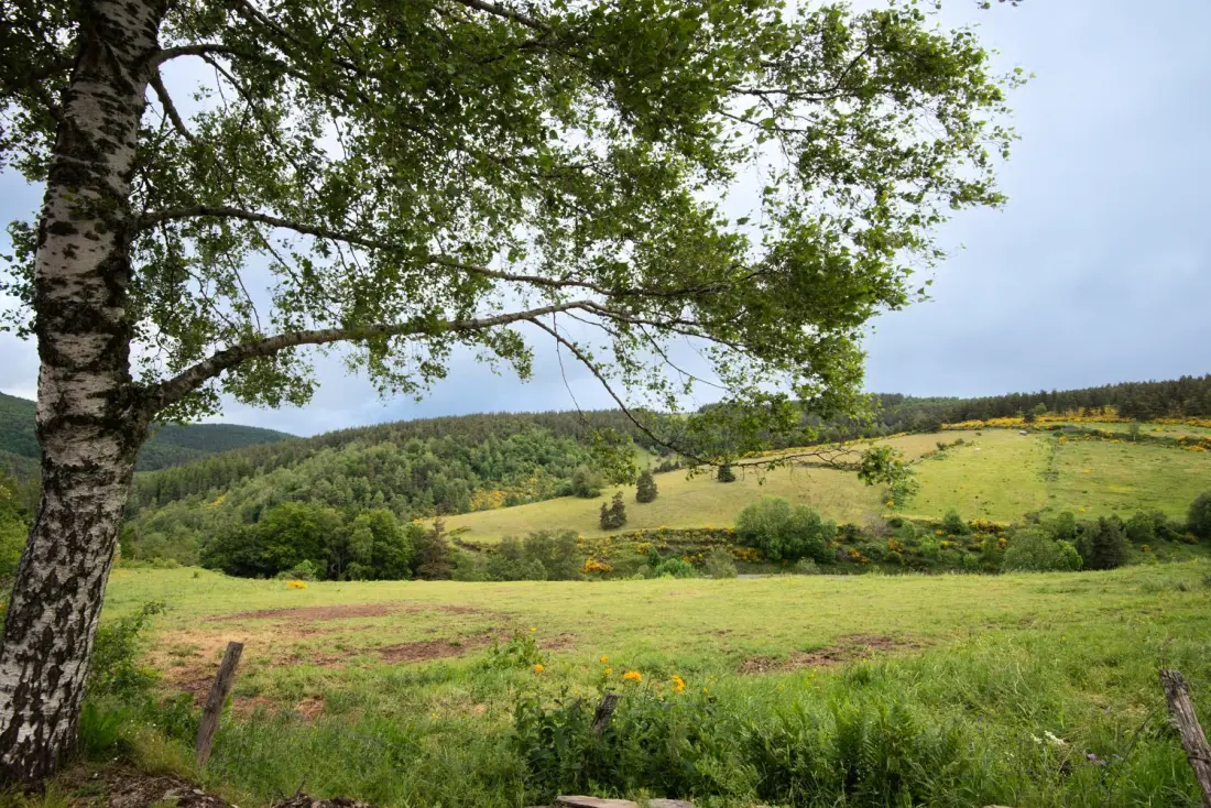 Gîte de France Gîte lou clapas 5 Personen 2 Ohren