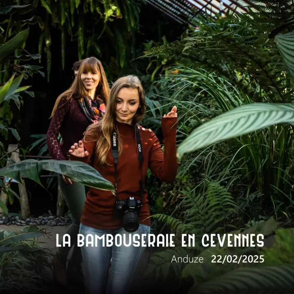 Camping l'Olivier 3 Sterne★★★