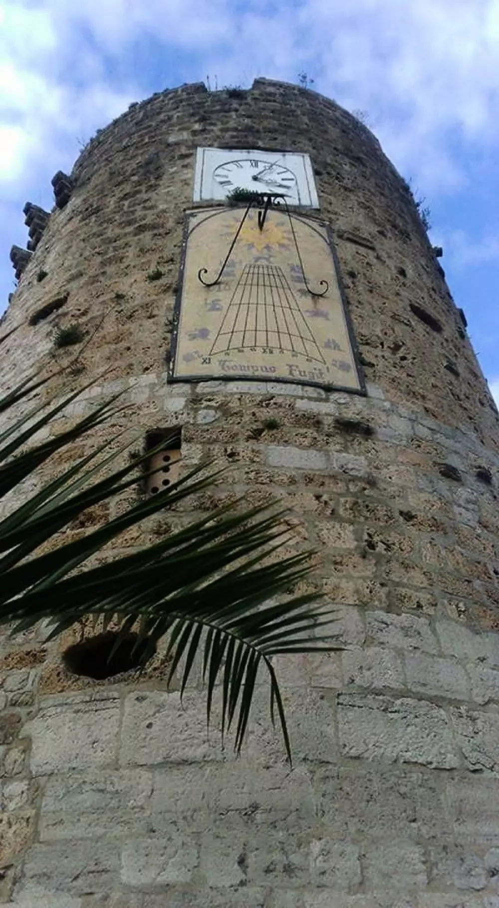 Camping l'Olivier 3 Sterne★★★