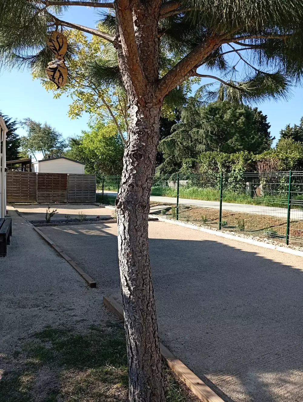 Camping l'Olivier 3 Sterne★★★