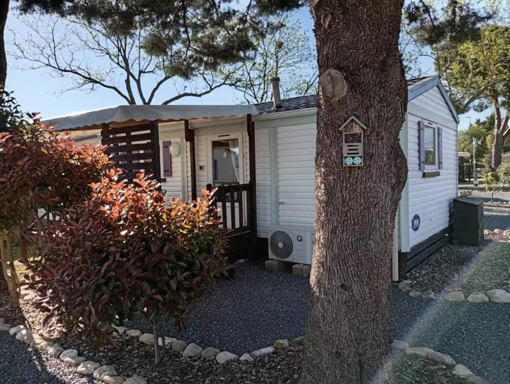 Camping l'Olivier 3 Sterne★★★