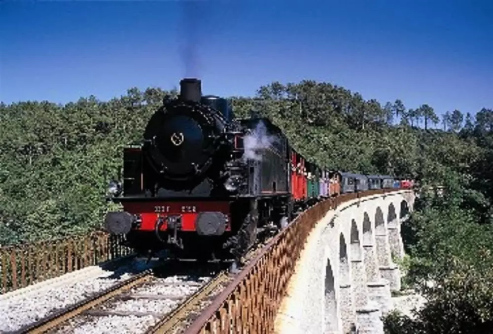 Camping l'Olivier 3 Sterne★★★