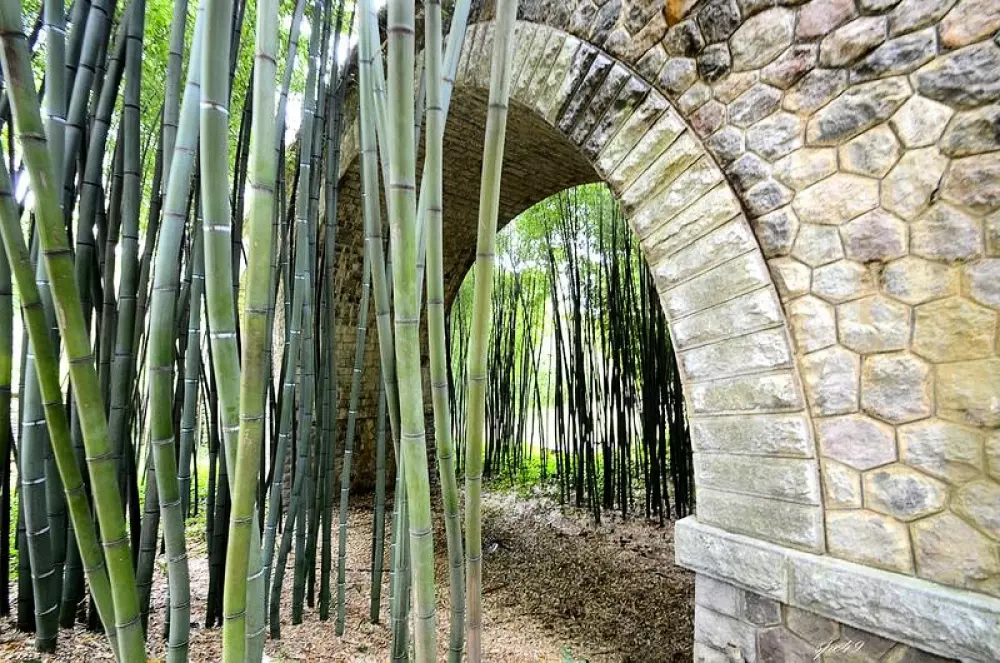 Camping l'Olivier 3 Sterne★★★