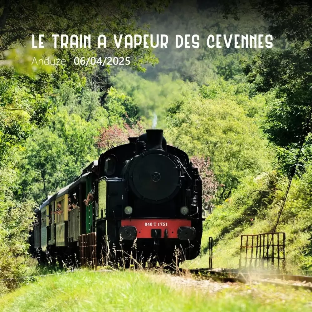 Camping l'Olivier 3 Sterne★★★