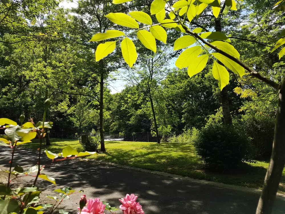 Campsite Uhaitza Le Saison