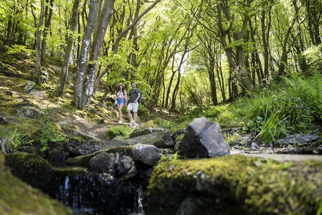 Camping Sadaya l'Anse du Brick5 Csillagok★★★★★