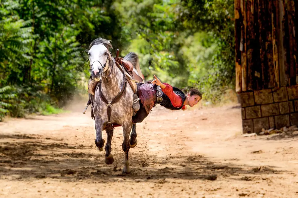 Wioska cygar 3 Gwiazdy★★★ 3 Gwiazdy★★★ 3 Gwiazdy★★★