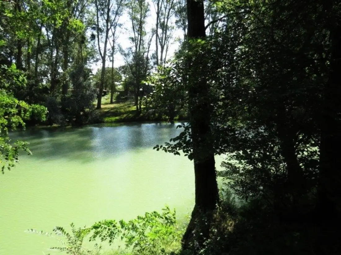 Campsite La Bastide /