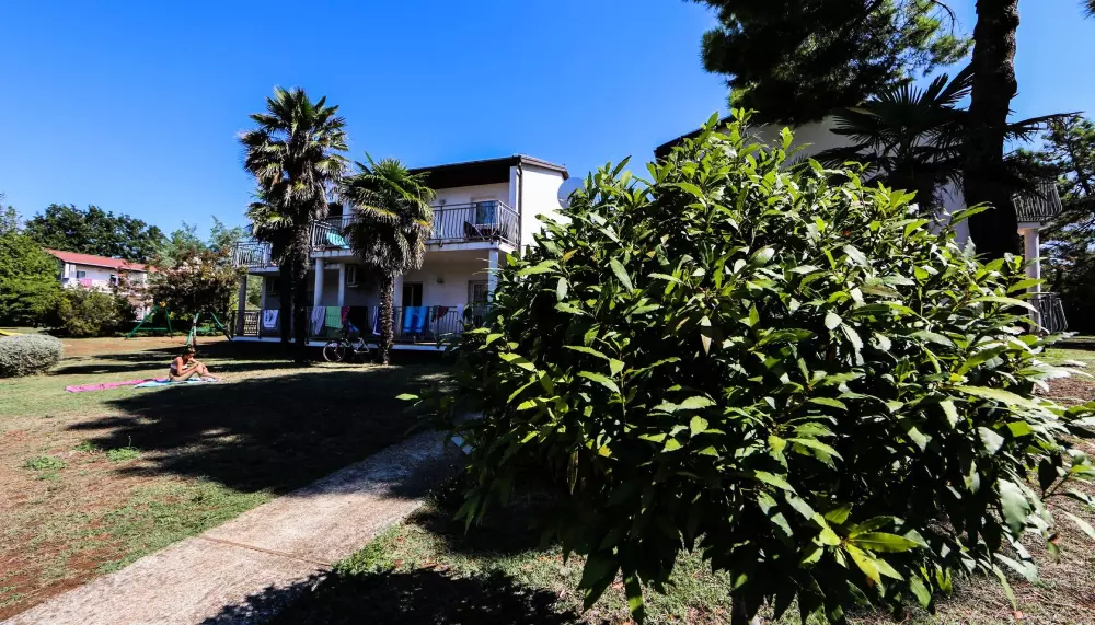 Arena Ai Pini Resort 3 Stars★★★