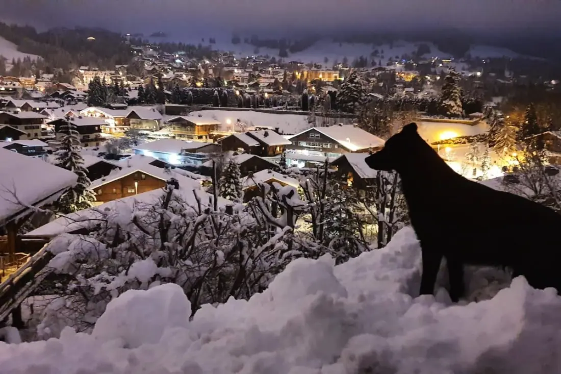 Magnificent Chalet View Impregnable a hegyeken