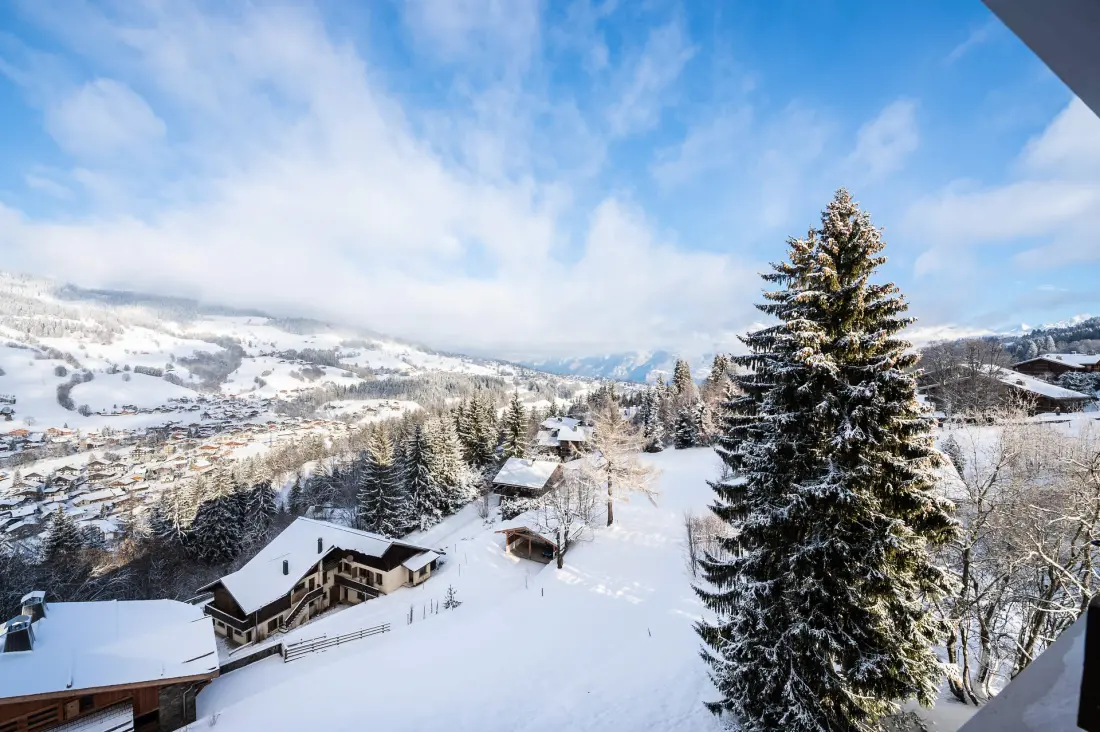 Neige D'arbois rezidencia
