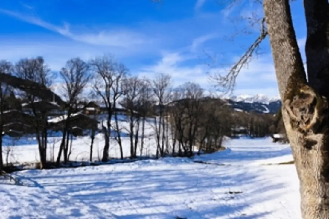 Maradj egy ideális Mountain Chalet!