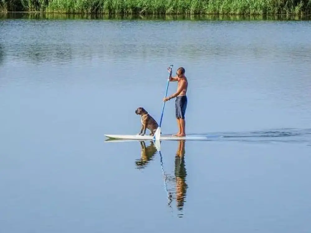 Camping Domaine De L'Ubaye 5 Sterren★★★★★