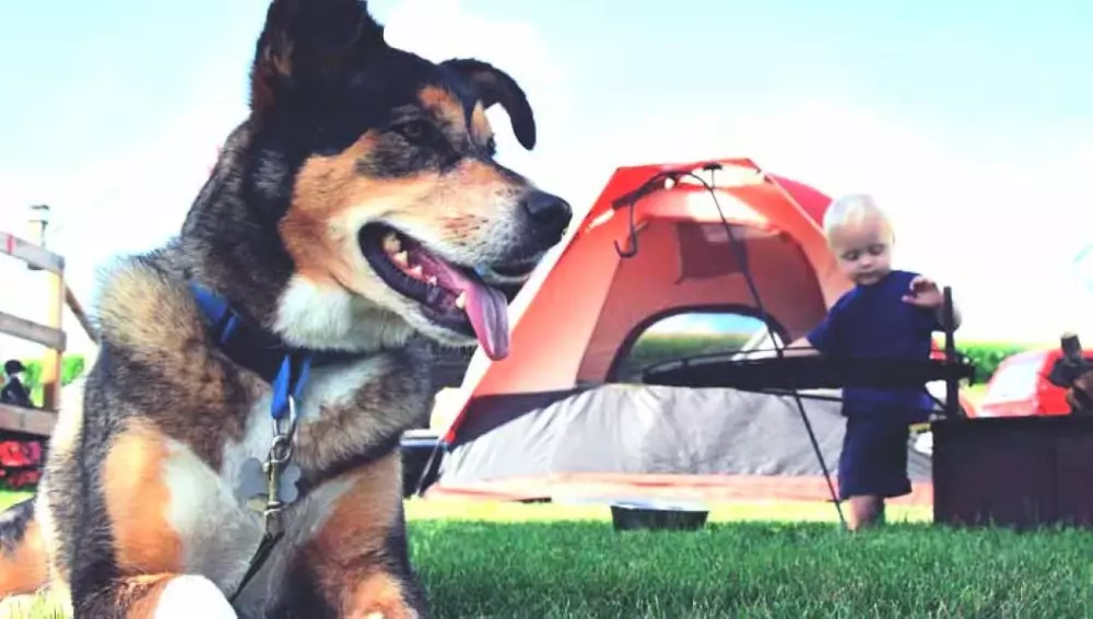 Domaine de l'Ubaye 5 Sterren★★★★★