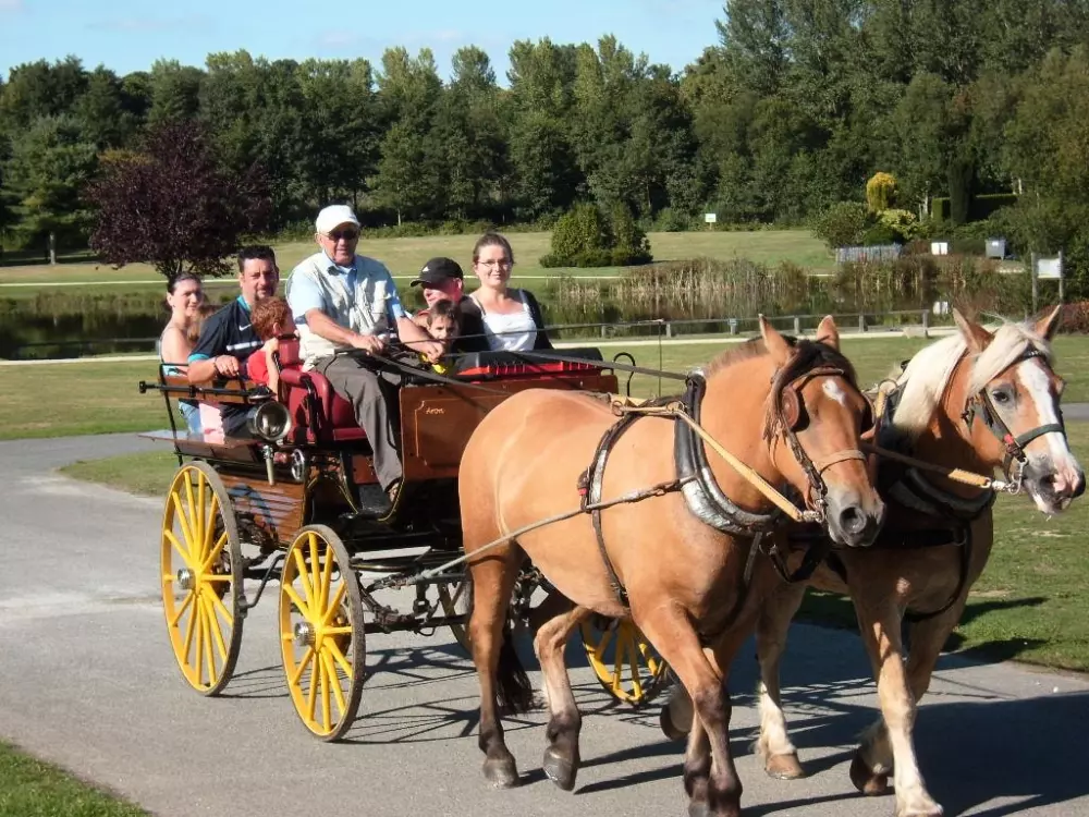 Val de Landrouet 3 Stars★★★