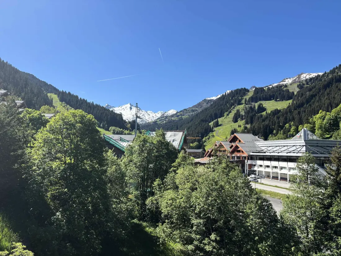 Residence Les Brimbelles