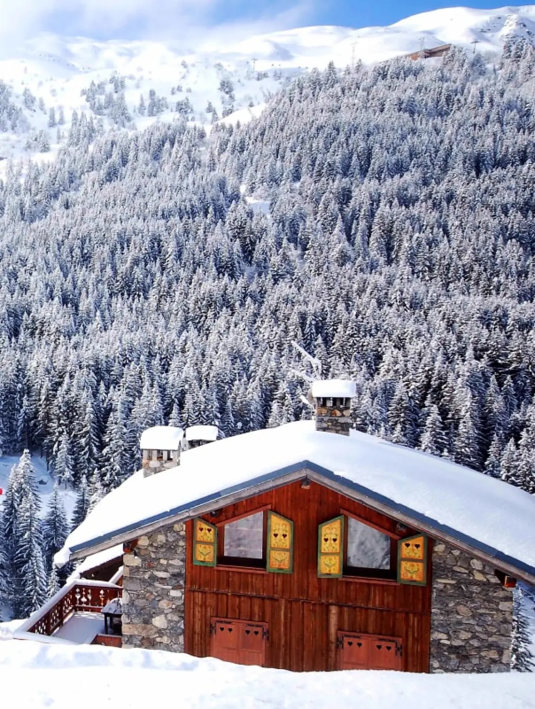 Chalet Mokus