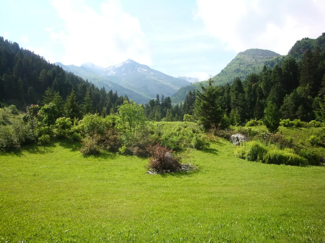 Residence Alpages A