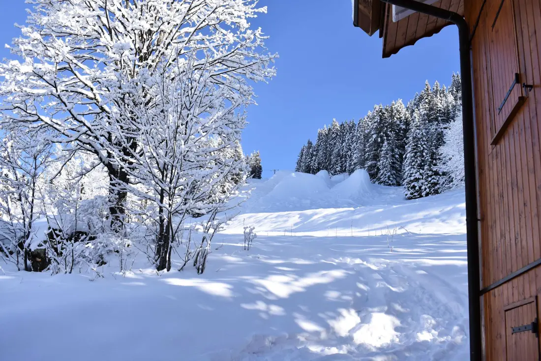 Residence Aubepine