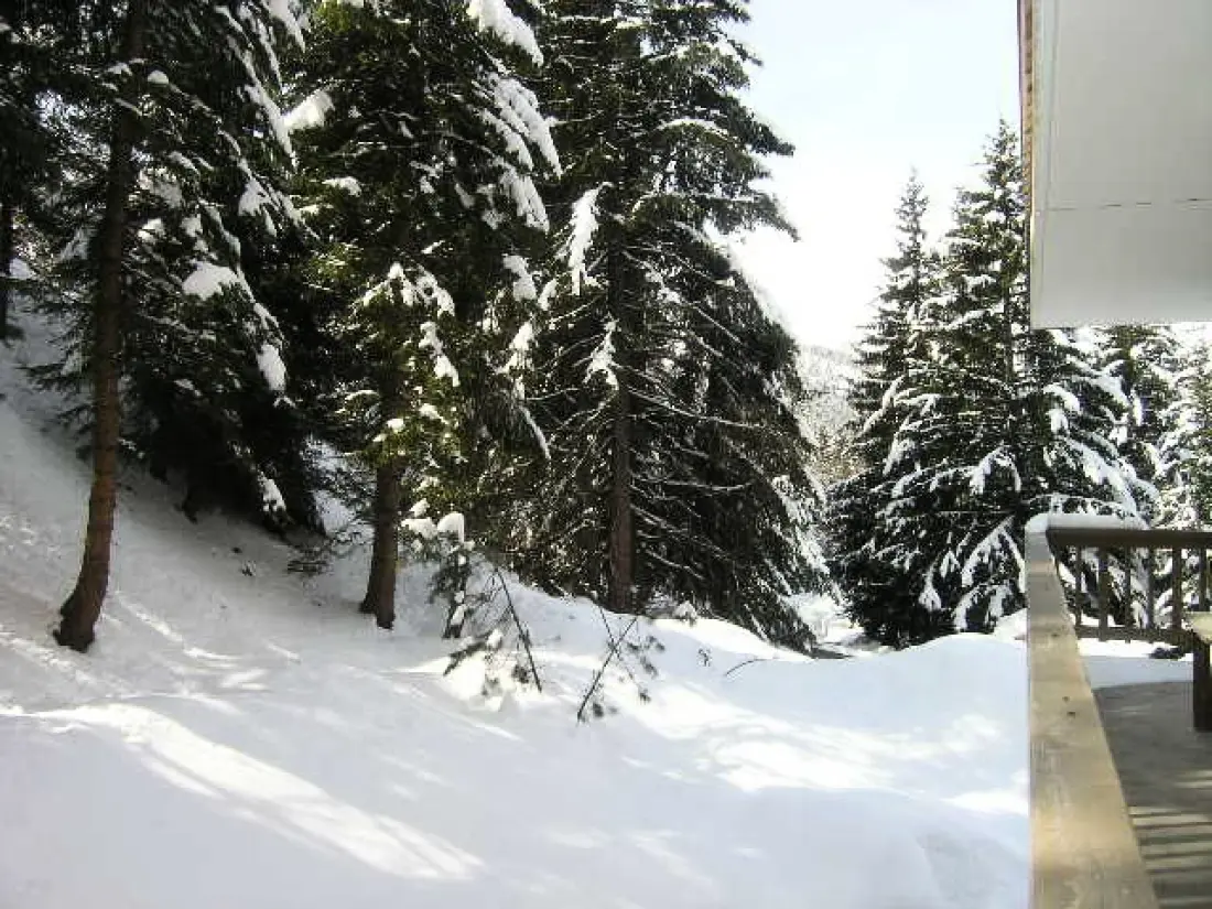 Residence Diablerets