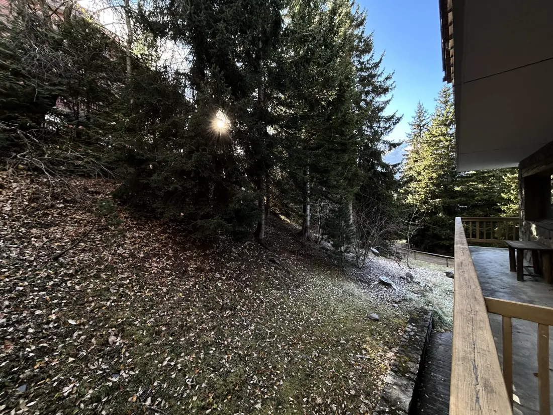 Residence Diablerets